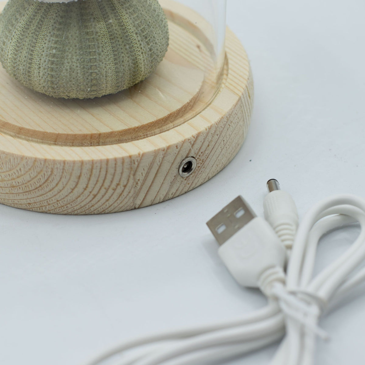 Světelná dekorace pod sklem – Mořský motiv · USB