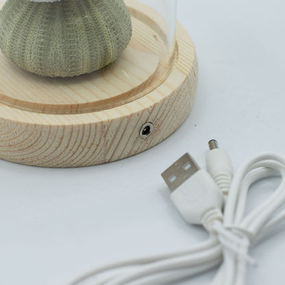 Světelná dekorace pod sklem – Mořský motiv · USB